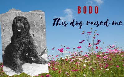 This Dog Raised Me – Bodo