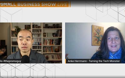 Bridging the Gap Between Business and Technology – Being Interviewed by Swire Ho for The Small Business Show